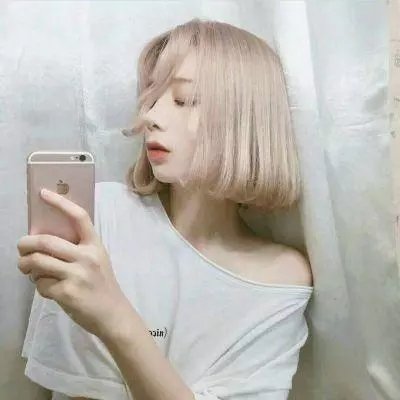 社会中坚